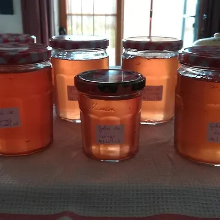 Et D'hôtes Le Chêne Billault * Pouant