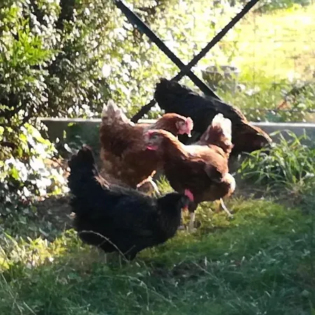 Et D'hotes Le Chene Billault Bed & Breakfast 4*