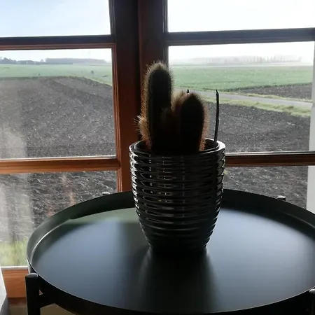 Et D'hotes Le Chene Billault 4* Pouant