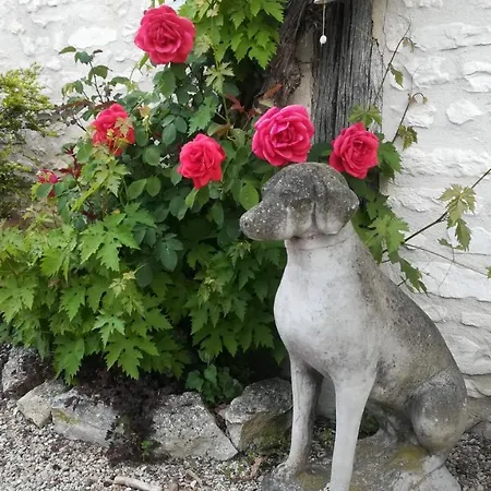 Bed & Breakfast Et D'hotes Le Chene Billault 4*