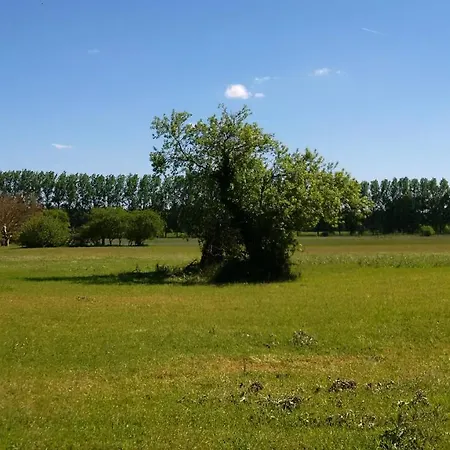 Et D'hotes Le Chene Billault 4*