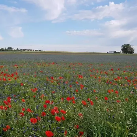 Et D'hotes Le Chene Billault