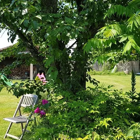 Et D'hotes Le Chene Billault 4* Pouant